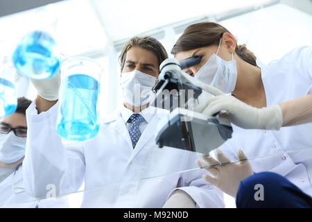 Wissenschaftler forschen in einer Testumgebung Stockfoto