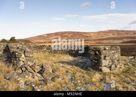 Abgebrochene Schafhürden auf Dava Moor in Schottland. Stockfoto