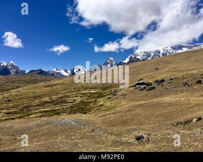 Apu Ausangate Trek, Sacred Valley, Peru Stockfoto