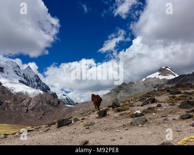 Apu Ausangate Trek, Sacred Valley, Peru Stockfoto