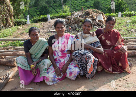 Vier Frauen in Saris, die für die Periakanal tee Immobilien, Munnar, Kerala, Indien arbeiten. Stockfoto