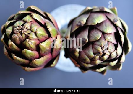 Zwei grüne Bio Artischocken auf grauem Hintergrund, Ansicht von oben. Gesunde Diät und Antioxidans Gemüse. Stockfoto