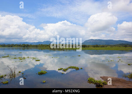 Schöne spiegel See mit tropischen Wald- und Berglandschaft an Wasgamuwa National Park unter einem blauen bewölkten Himmel in Sri Lanka Stockfoto