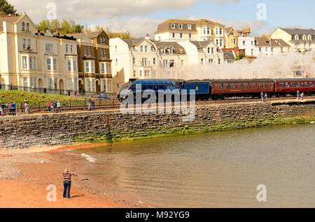 Der erste Dampfzug über die neu gebaute Eisenbahn reisen in Dawlish, nachdem die Linie hatte während der grossen Stürme des Februar 2014 zerstört worden. Stockfoto