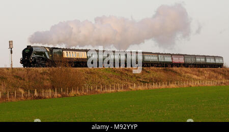 Die Cathedals Express-Eisenbahntour wurde am 5.. Dezember 2009 von der Klasse A4 Pacific No 60019 'Bittern' an Longcot, Oxfordshire, vorbeigeführt. Stockfoto