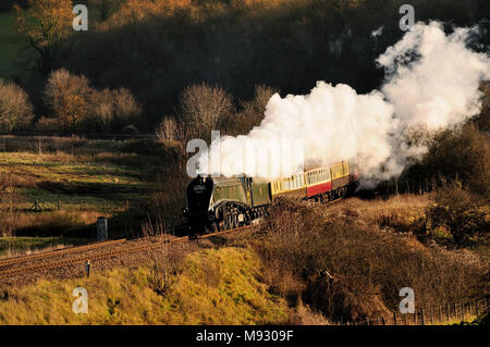 The Bath Xmas Market Railtour passing Freshford, gezogen von Class A4 Pacific No 60019 'Bittern', 6.. Dezember 2008. Stockfoto