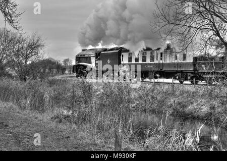 Der Valentine Express neben dem Kennet und Avon Kanal in Crofton, geschleppt von Klasse A4 Pacific Nr. 60019 "Igel". (Wie ein HDR-Bild verarbeitet). Stockfoto