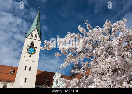 Kirchturm der St. Mang Kirche in Kempten, Allgäu, Bayern, Deutschland inmitten der Kirschblüte im Frühling Stockfoto