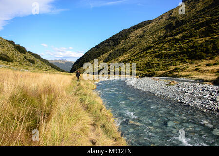 Die erstaunliche Earnslaw brennen Track, Standort für den Hobbit filme Glenorchy, Neuseeland Stockfoto