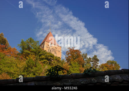 Fribourg, Schweiz: Der Turm des Bourguillon steigt über den Baumwipfeln im Herbst. Teil einer Verteidigung Wand im 13. und 15. Jahrhundert gebaut. Stockfoto