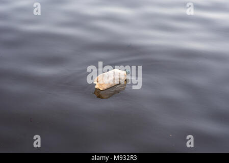 Nahaufnahme einer Plastikflasche Wurf floating in Körper von Wasser Stockfoto