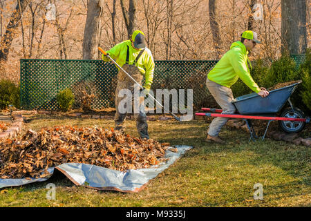 Zwei junge Männer in hellen Pullover Reinigung und mulchen Blumenbeeten im Frühjahr; Missouri, Mittelwesten Stockfoto