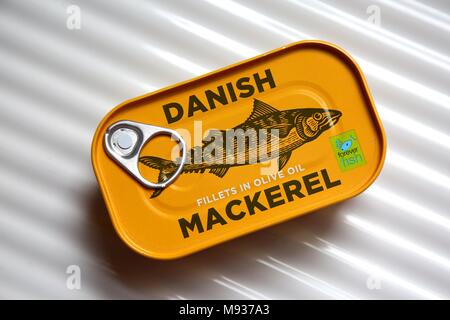 Zinn der Dänischen Makrelen in Olivenöl. Stockfoto