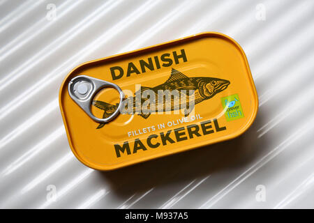 Zinn der Dänischen Makrelen in Olivenöl. Stockfoto