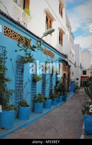 Eine schmale, verwinkelte Gasse in der Kasbah des Oudayas, Rabat, Marokko, mit zahlreichen Pflanzern und dekorativen Fenstern und Türen Stockfoto