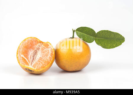 Orangen, frisch von der tropischen Zone, süße Frucht Stockfoto