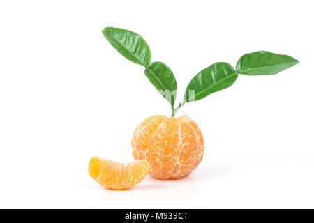 Orangen, frisch von der tropischen Zone, süße Frucht Stockfoto