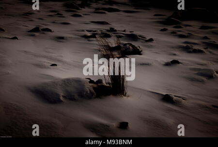 Alex El Barto Reise Fotografie für die Welt Stockfoto