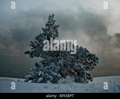 Alex El Barto Reise Fotografie für die Welt Stockfoto