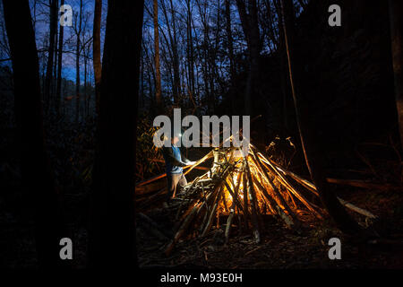 Simulierte Lagerfeuer (mit LED-Beleuchtung Technik) im Pisgah National Forest, Brevard, North Carolina, USA Stockfoto