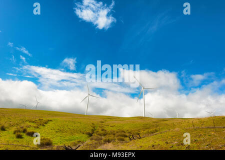 Windenergieanlagen stand groß und stark gegen die Wüste Landschaft aus sanften Hügeln in der Columbia River Gorge Stockfoto