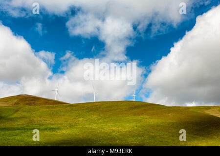 Windenergieanlagen stand groß und stark gegen die Wüste Landschaft aus sanften Hügeln in der Columbia River Gorge Stockfoto