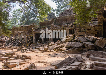 Metal Gerüst bieten Unterstützung für Wände wie die Wurzeln eines riesigen Baumes drohen zu ruinieren und übernehmen die UNESCO-Weltkulturerbe von ankor Thom, Siem Reap, Kambodscha Stockfoto