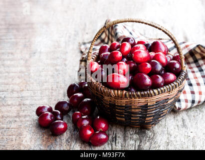 Frische Cranberries in kleinen Weidenkorb auf hölzernen Tisch Stockfoto