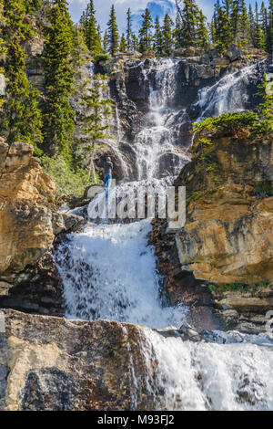 Gewirr verliebt sich in Jasper Nationalpark, Alberta, Kanada, entlang der Columbia Icefields Parkway. Stockfoto