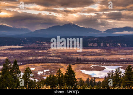 Feuchtgebiete in der Nähe von Radium Hot Spirings im Kootenay National Park in British Columbia, Kanada. Die Berge sind Teil der kanadischen Rocky Mountains. Stockfoto