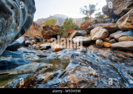 Schlange Gorge Schlucht in Oman im Jahr 2015 getroffen Stockfoto