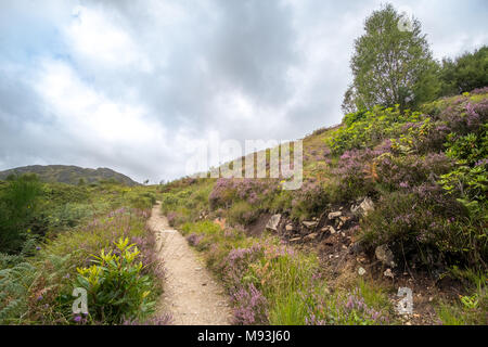 Malerische Landschaft, Blick auf die Berge, den Wald mit Pfad im schottischen Hochland. Stockfoto