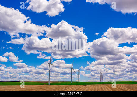 Wind Stromerzeuger sitzen in einem Feld mit Strom versorgt. Im östlichen Oregon. Stockfoto