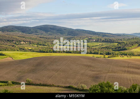 Grüne Landschaft in Italien Stockfoto