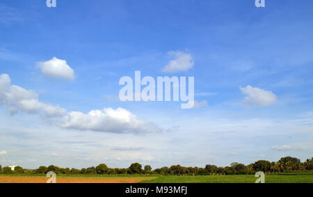 Schöne Landschaft mit blauen Himmel und grüne Felder im südindischen Bundesstaat Karnataka. Stockfoto