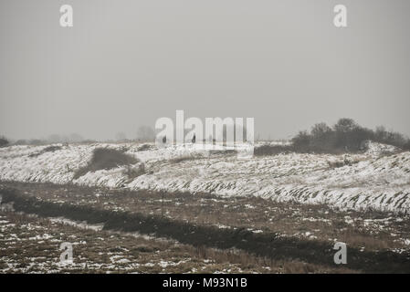 Hadleigh Country Park Hadleigh Marsh und öffentlichen Fußweg in Essex mit Schnee auf dem Boden von das Tier aus dem Osten wetter Phänomen. Schüttler Stockfoto