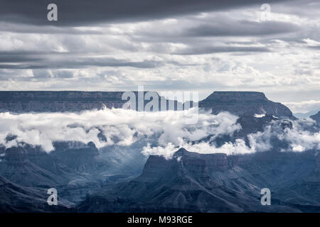 Morgen Wolken, Yavapai Point, Grand Canyon NP, AZ, USA, Mitte September, von Dominique Braud/Dembinsky Foto Assoc Stockfoto