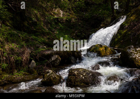 Himalayan Landschaften von Great Himalayan National Park (GHNP) in der Nähe von Manali, Himachal Pradesh, Indien. Stockfoto