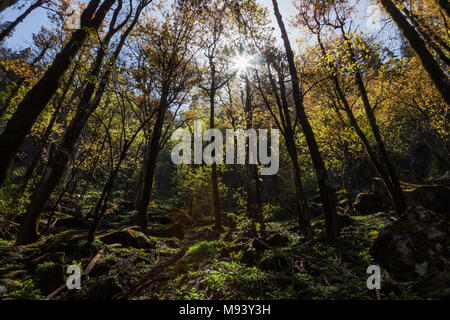 Himalayan Landschaften von Great Himalayan National Park (GHNP) in der Nähe von Manali, Himachal Pradesh, Indien. Stockfoto