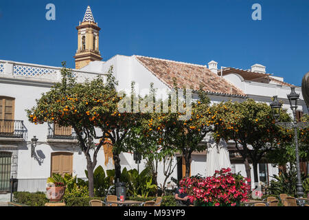 Plaza de los Flores, Estepona, Andalusien, Spanien Stockfoto