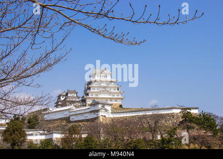 Himeji Castle während Cherry Blossom Time gehen zu blühen Stockfoto