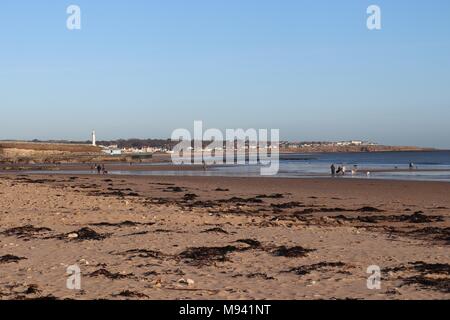 Algen und Sand durch die Flut an Roker Strand ausgesetzt Stockfoto