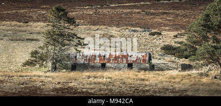 Abgebrochene Croft von Ostern Crannich auf Dava Moor in Schottland. Stockfoto