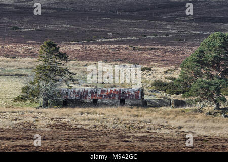 Abgebrochene Croft von Ostern Crannich auf Dava Moor in Schottland. Stockfoto