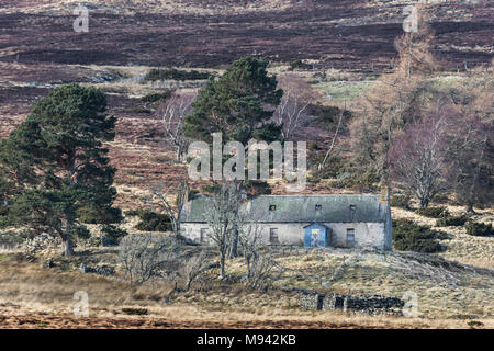 Abgebrochene Croft von Ostern Crannich auf Dava Moor in Schottland. Stockfoto