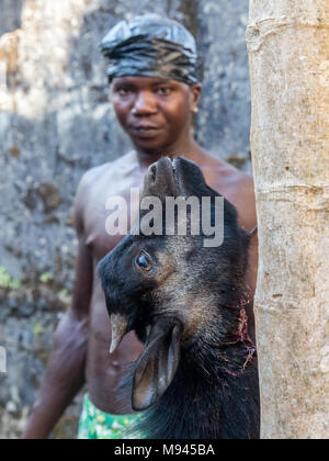 Eine Ziege ist in Bureh Stadt Freetown Sierra Leone geschlachtet. Stockfoto