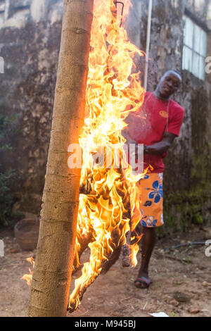 Eine Ziege ist in Bureh Stadt Freetown Sierra Leone geschlachtet. Stockfoto