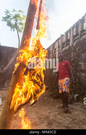 Eine Ziege ist in Bureh Stadt Freetown Sierra Leone geschlachtet. Stockfoto