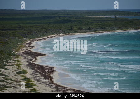 Die Küste der Insel Cozumel im Punta Sur eco Park, Mexiko Stockfoto