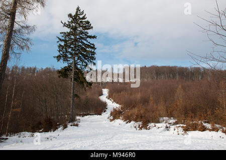 Verschneite Landschaft im Harz / Deutschland Stockfoto